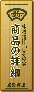 ȉڍׁ@XЂ̎