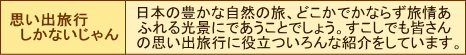 思い出旅行しかないじゃん